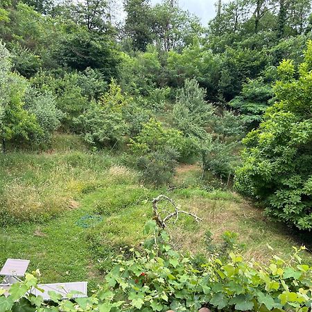 Casa Octavia Bed & Breakfast San Martino in Freddana Exterior photo