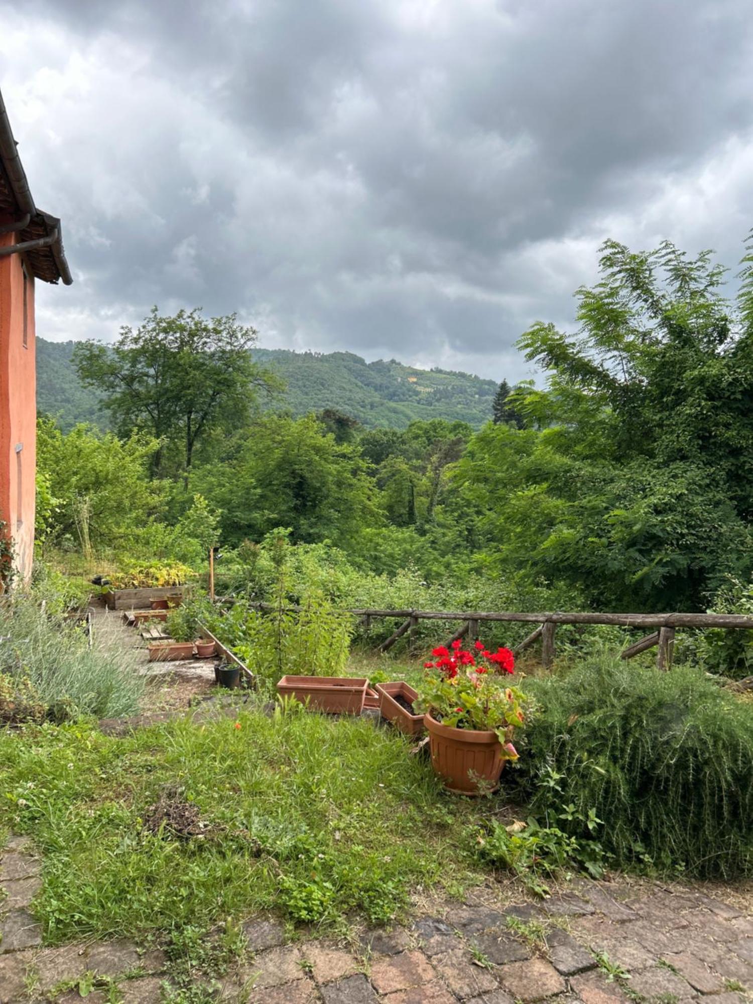 Casa Octavia Bed & Breakfast San Martino in Freddana Exterior photo
