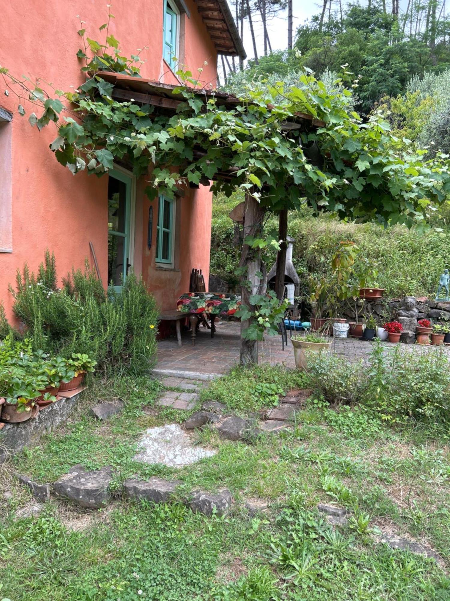 Casa Octavia Bed & Breakfast San Martino in Freddana Exterior photo